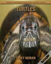 Turtles
