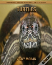 Capa do artigo Turtles