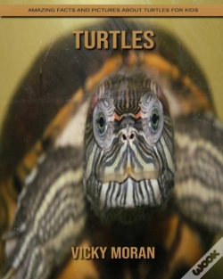 Capa do artigo Turtles
