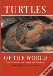 Capa do artigo Turtles Of The World
