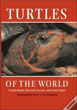 Capa do artigo Turtles Of The World