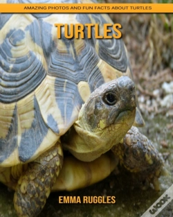 Capa do artigo Turtles