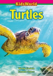 Capa do artigo Turtles