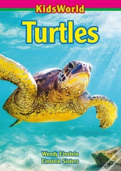 Capa do artigo Turtles