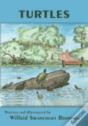 Capa do artigo Turtles