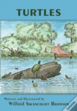Capa do artigo Turtles