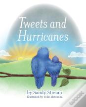 Tweets And Hurricanes