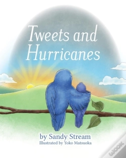 Capa do artigo Tweets And Hurricanes