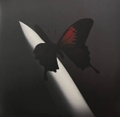 Capa do artigo Twelve Carat Toothache - Vinil