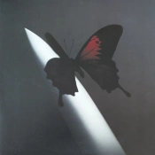 Capa do artigo Twelve Carat Toothache - Vinil