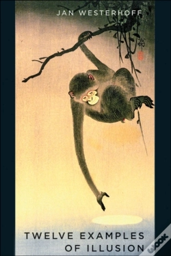 Capa do artigo Twelve Examples Of Illusion