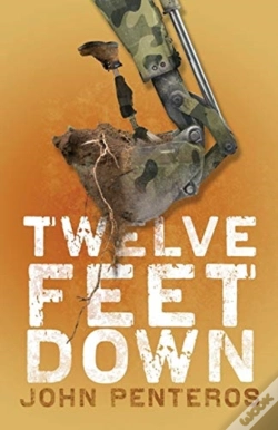Capa do artigo Twelve Feet Down