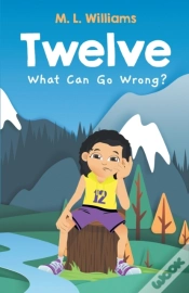 Capa do artigo Twelve