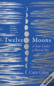 Capa do artigo Twelve Moons