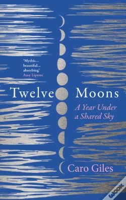Capa do artigo Twelve Moons