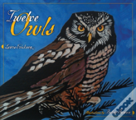 Twelve Owls