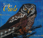 Twelve Owls - Preview