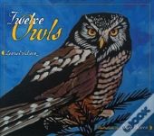 Twelve Owls