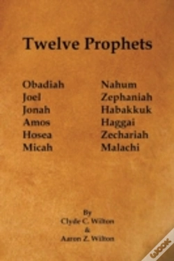 Capa do artigo Twelve Prophets
