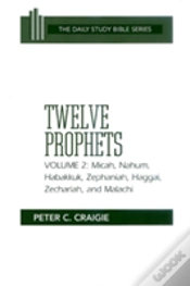 Capa do artigo Twelve Prophets