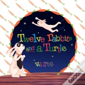 Capa do artigo Twelve Rabbits And A Turtle