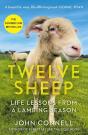 Twelve Sheep - Preview