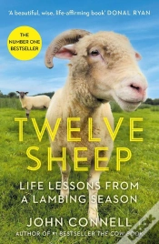 Capa do artigo Twelve Sheep