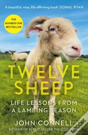 Capa do artigo Twelve Sheep