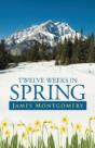 Twelve Weeks In Spring - Preview