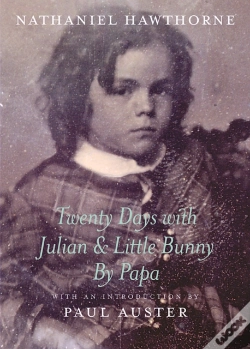 Capa do artigo Twenty Days With Julian & Little Bu