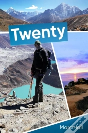 Capa do artigo Twenty