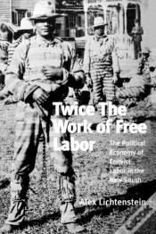 Capa do artigo Twice The Work Of Free Labor