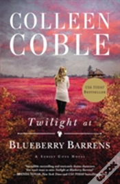 Capa do artigo Twilight At Blueberry Barrens