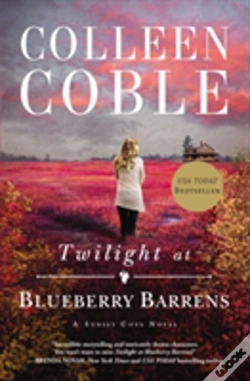Capa do artigo Twilight At Blueberry Barrens