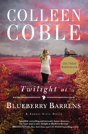 Twilight At Blueberry Barrens - Preview