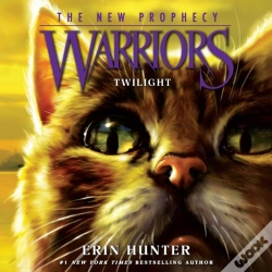 Capa do artigo Twilight
