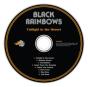 Twilight in the Desert - CD - Preview