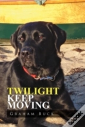 Capa do artigo Twilight Keep Moving