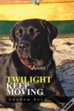 Capa do artigo Twilight Keep Moving