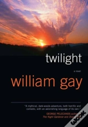 Capa do artigo Twilight