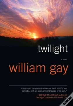 Capa do artigo Twilight