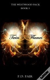 Capa do artigo Twin Flames