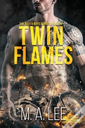 Capa do artigo Twin Flames