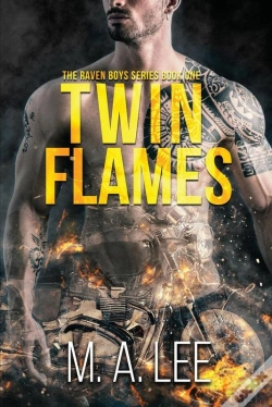 Capa do artigo Twin Flames