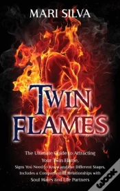 Capa do artigo Twin Flames