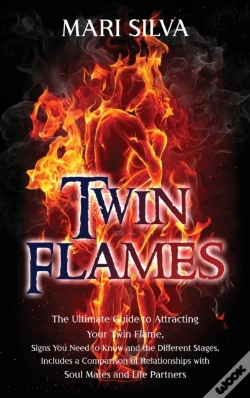 Capa do artigo Twin Flames