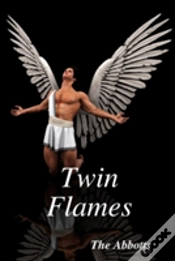 Capa do artigo Twin Flames