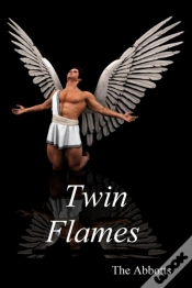 Capa do artigo Twin Flames