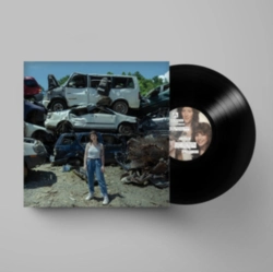 Capa do artigo Twin Plagues - Vinil