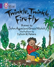 Capa do artigo Twinkle Twinkle Firefly_Big Ca